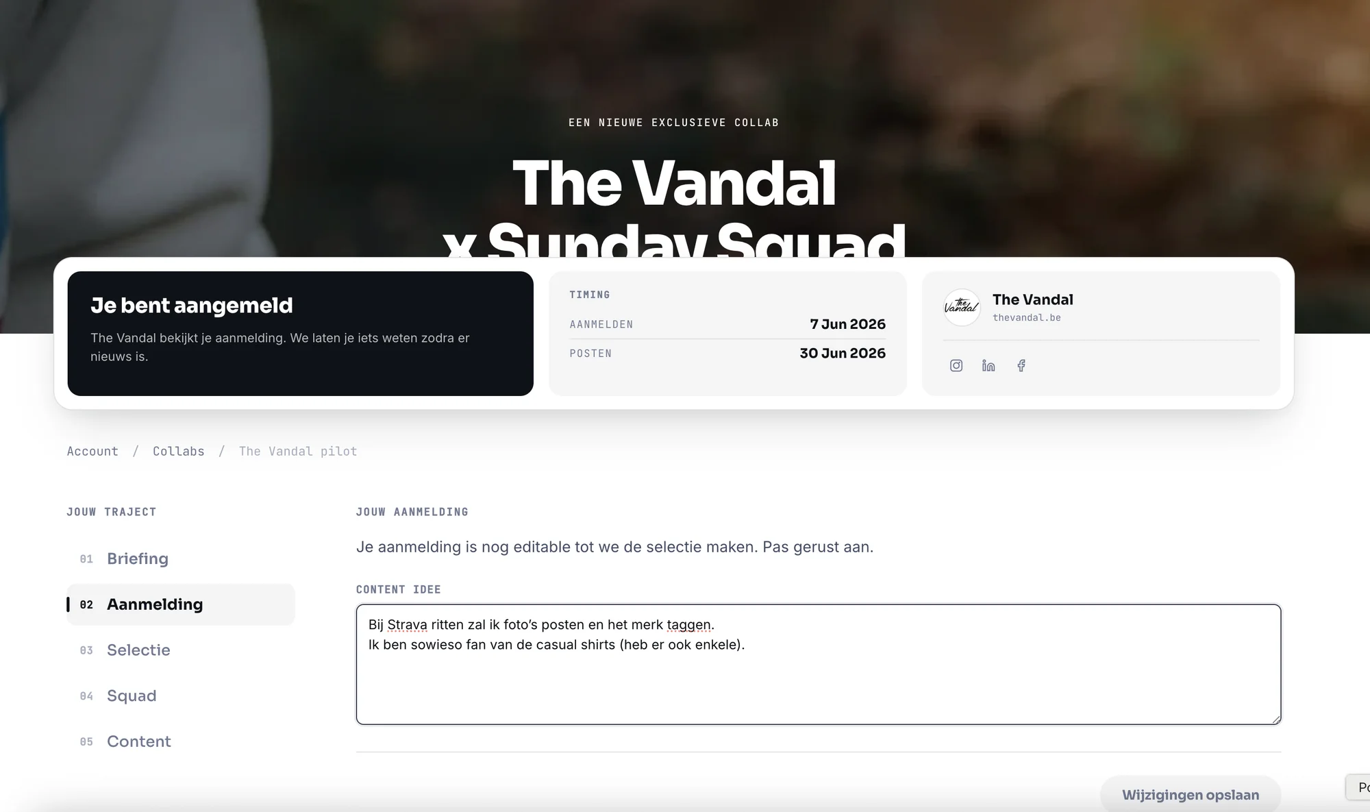 How do I refine or expand my content idea after applying?